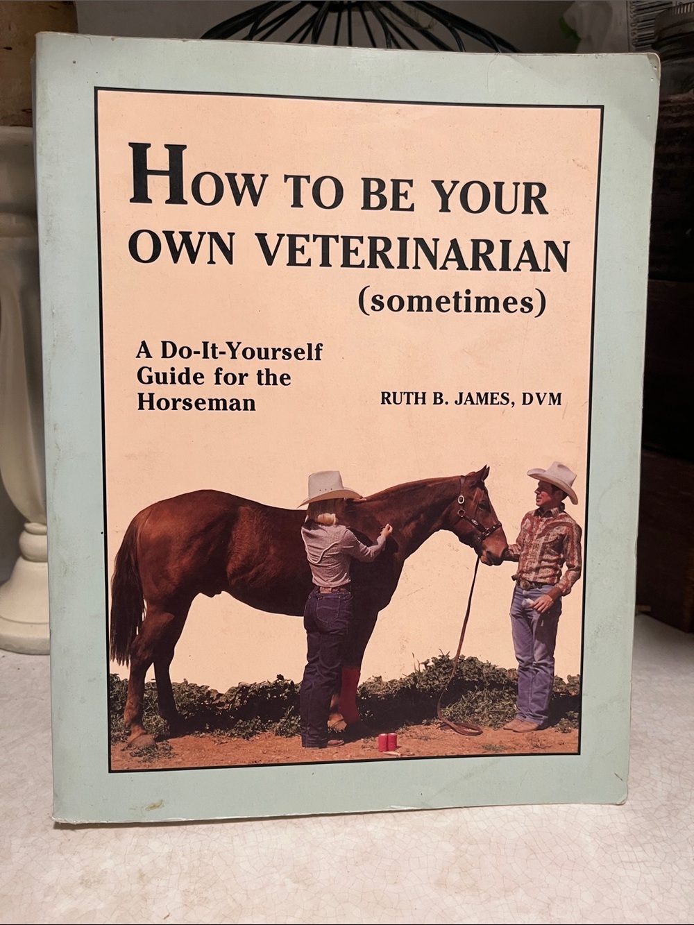 How to be your own vet